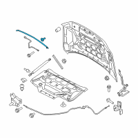 OEM 2017 Ford F-150 Front Weatherstrip Diagram - HL3Z-16B990-A