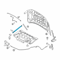 OEM 2016 Ford F-150 Lift Cylinder Diagram - FL3Z-16C826-B