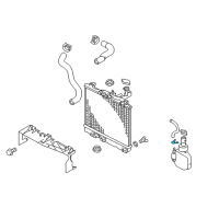 OEM Dodge Avenger Clip-Hose Diagram - MS660205