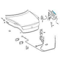 OEM Support Assy, Luggage Compartment Door Diagram - 64530-24052