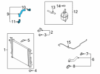 OEM 2022 Hyundai Santa Fe Hose Assembly-Radiator, LWR Diagram - 25415-CL000