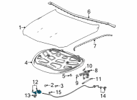 OEM 2022 Cadillac CT5 Latch Diagram - 84826360
