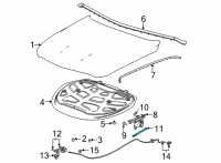 OEM 2020 Cadillac CT5 Support Cylinder Diagram - 84594283