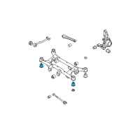 OEM 2009 Kia Sportage BUSHING-CROSSMEMBER Diagram - 554562E500