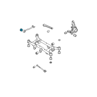 OEM 2008 Kia Sportage Bush-Trailing Arm Diagram - 551162E000