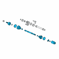 OEM Honda Insight Shaft Assembly, R Drive Diagram - 44305-TXM-A01