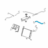 OEM 2008 Chevrolet Corvette Upper Hose Diagram - 10359364