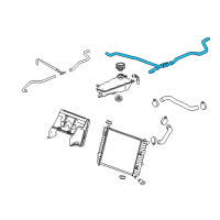 OEM 2009 Chevrolet Corvette Hose Asm-Radiator Surge Tank Outlet Diagram - 22812512