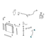 OEM 2013 Chevrolet Captiva Sport Lower Hose Diagram - 19258424