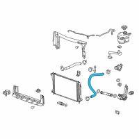 OEM 2010 Chevrolet Equinox Lower Hose Diagram - 22886855