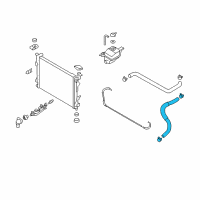 OEM 2006 Hyundai Sonata Hose Assembly-Radaator, Lower Diagram - 25415-3K100