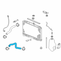 OEM Honda Ridgeline Hose, Water (Lower) Diagram - 19502-5J6-A01