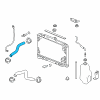 OEM 2020 Honda Pilot Hose, Water (Upper) Diagram - 19501-5J6-A00