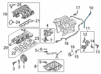 OEM 2020 Ford Transit-350 HD Dipstick Diagram - JL3Z-6750-D