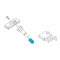 OEM 2019 Kia Sedona Cap-Valve Diagram - 529372V100