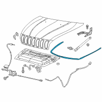 OEM 2016 Jeep Cherokee Weatherstrip-Hood Diagram - 68103103AB