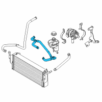 OEM Ford Mustang Hose Diagram - DR3Z-8D029-A