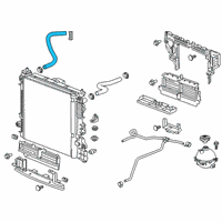 OEM 2020 Chevrolet Blazer Lower Hose Diagram - 84372604