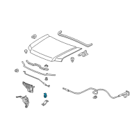 OEM 2007 Honda Ridgeline Holder, Rod (8MM) Diagram - 91504-SJC-A00