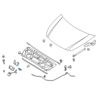 OEM 2008 Hyundai Entourage Catch Assembly-Hood Safety Hook Diagram - 81150-4D000