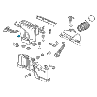 OEM Honda Accord Crosstour Rubber, Air Cleaner Mounting Diagram - 17212-P2J-000