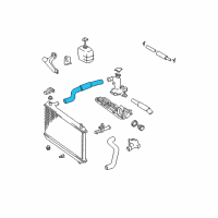 OEM 2004 Toyota Avalon Upper Hose Diagram - 16571-0A040