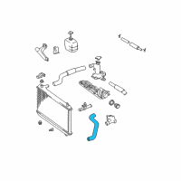 OEM 2001 Toyota Avalon Lower Hose Diagram - 16572-0A040