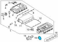 OEM 2022 Ford Mustang Clutch & Pulley Seal Diagram - KR3Z-9E936-A