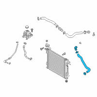 OEM Hyundai Tucson Hose Assembly-Radiator, Lower Diagram - 25410-D3700