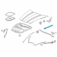 OEM 2007 Chevrolet Corvette Strut Asm-Hood Diagram - 10399704