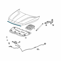 OEM 2020 Buick Enclave Front Weatherstrip Diagram - 84393408