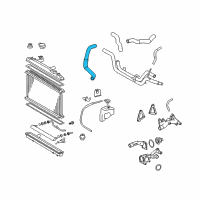 OEM Toyota Avalon Lower Hose Diagram - 16572-AD012