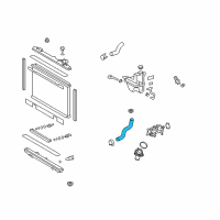 OEM 2010 Lexus GS460 Hose, Radiator, NO.2 Diagram - 16572-38120