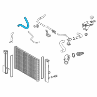 OEM Scion iM Lower Hose Diagram - 16572-22130