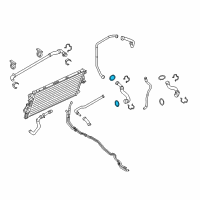 OEM 2022 Ford Bronco Lower Hose Seal Diagram - BC3Z-8590-F