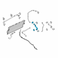 OEM 2012 Ford F-350 Super Duty Upper Hose Diagram - BC3Z-8A365-A