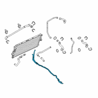 OEM 2012 Ford F-250 Super Duty Hose & Tube Assembly Diagram - BC3Z-9P923-A