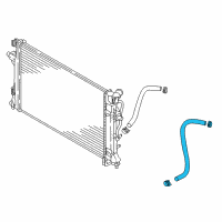 OEM Hyundai Hose Assembly-Oil Cooling Diagram - 25420-F2000