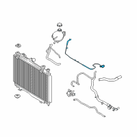 OEM 2021 Ford EcoSport Overflow Hose Diagram - GN1Z-8A365-N