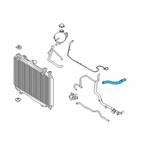 OEM 2021 Ford EcoSport Upper Hose Diagram - GN1Z-8260-W