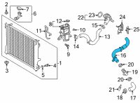 OEM Toyota RAV4 Lower Hose Diagram - 16571-25100