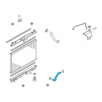 OEM 2010 Nissan Cube Hose-Lower Diagram - 21503-ED800