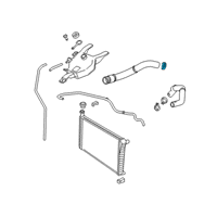OEM Chevrolet Express Lower Hose Clamp Diagram - 11548098