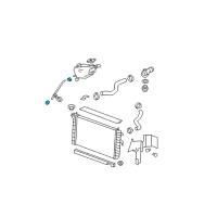 OEM Buick Lucerne Reservoir Hose Clamp Diagram - 21999688