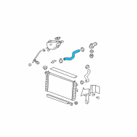 OEM 2007 Buick Lucerne Radiator Outlet Hose (Lower) Diagram - 10365406