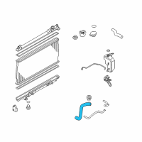 OEM 2006 Infiniti M35 Hose-Radiator, Lower Diagram - 21503-EG000