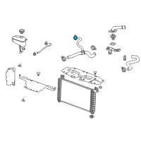 OEM 2007 GMC Sierra 3500 HD Lower Hose Clamp Diagram - 11570388