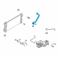 OEM 2013 Ford F-150 Upper Hose Diagram - CL3Z-8260-A