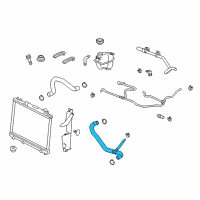 OEM 2011 Cadillac CTS Lower Hose Diagram - 25880390