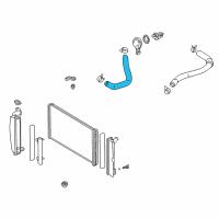 OEM 2008 Pontiac Vibe Radiator Outlet Hose (Lower) Diagram - 88969100